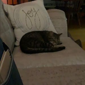 Meet your Posher, Suzanne